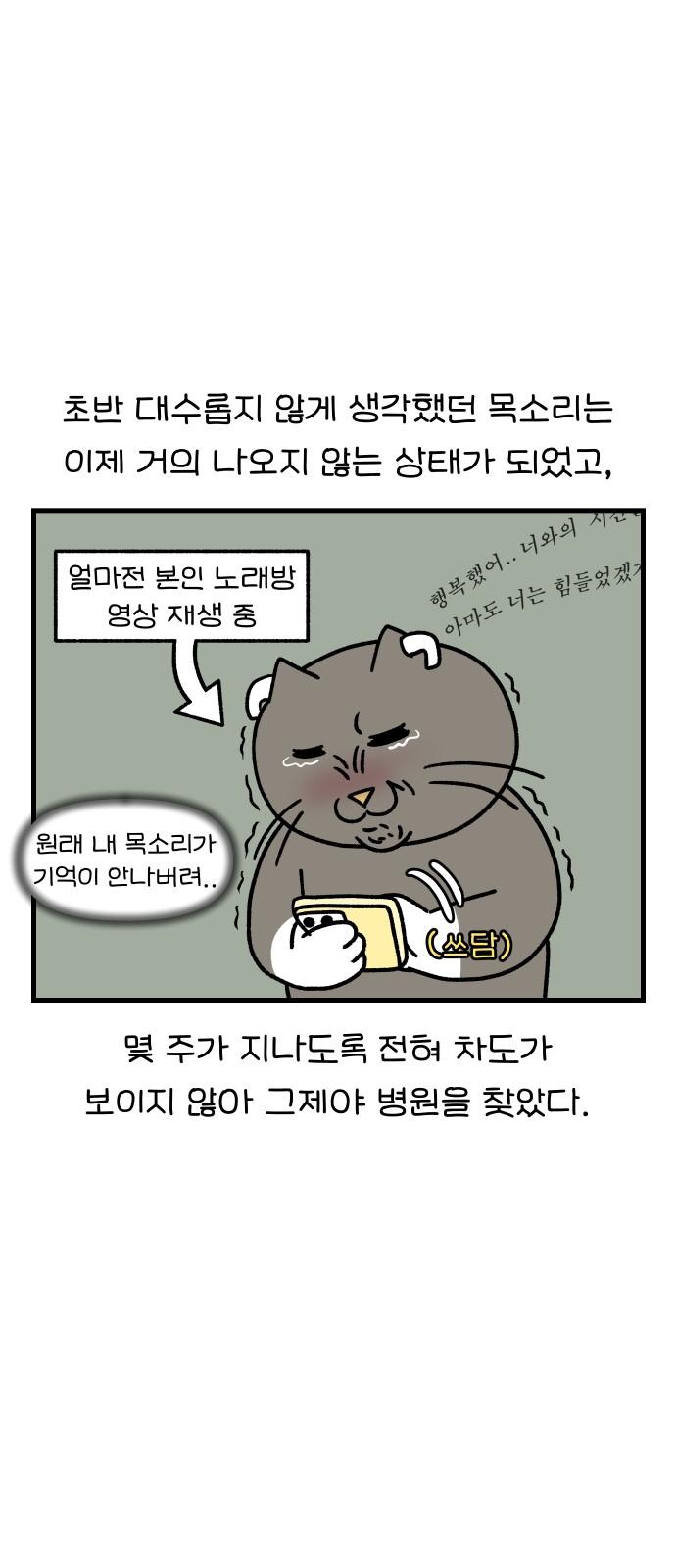 1734342663333dwrikuq8cta.jpg