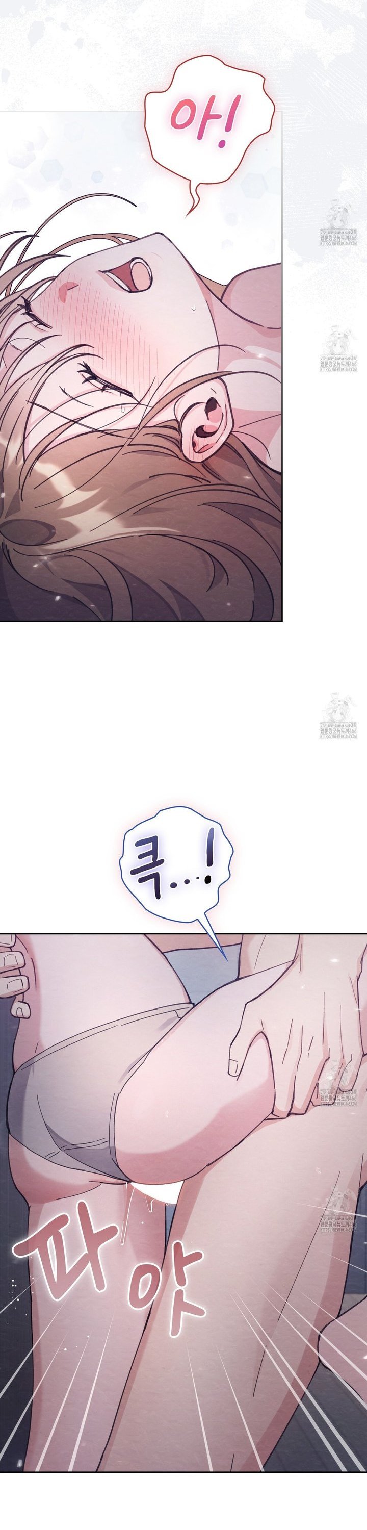 1734991390611x24w339d99.jpg