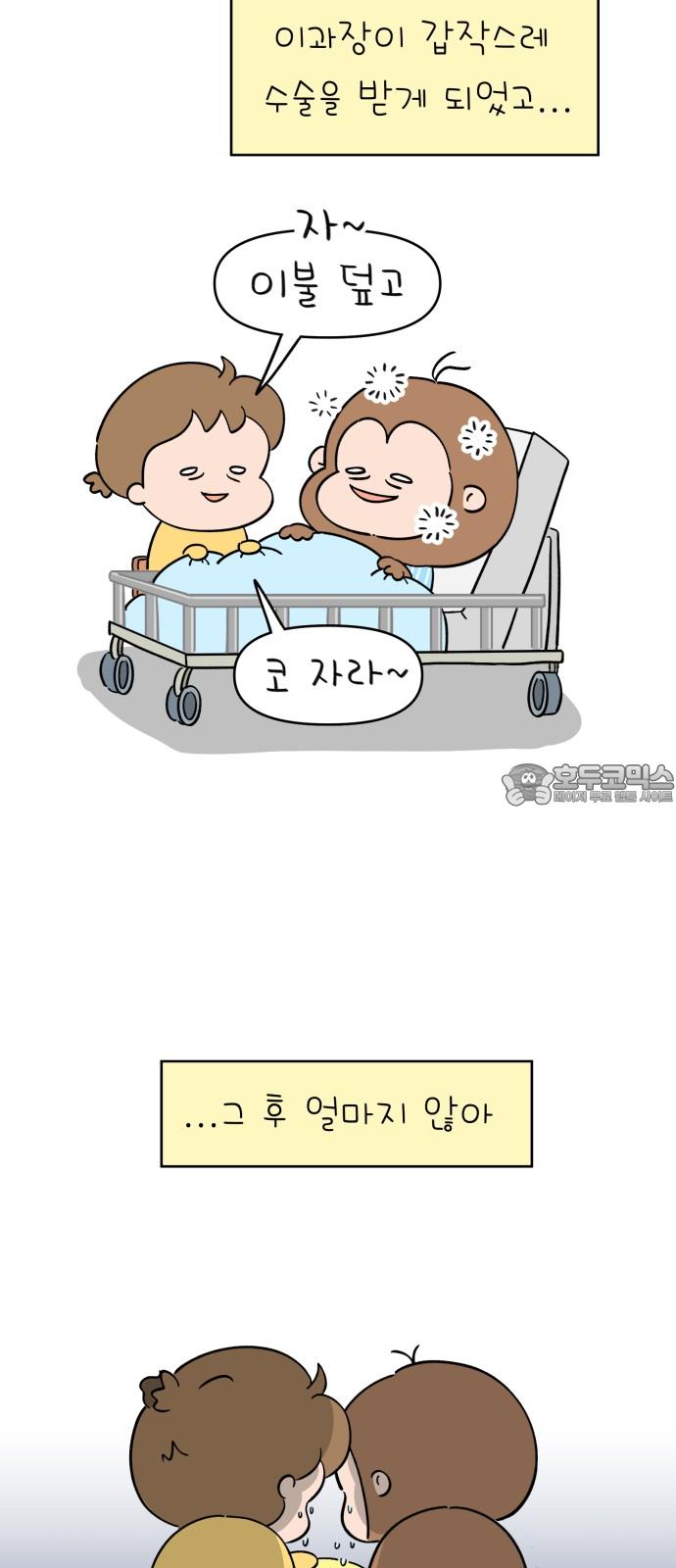 1735348665190v33txpig9tj.jpg