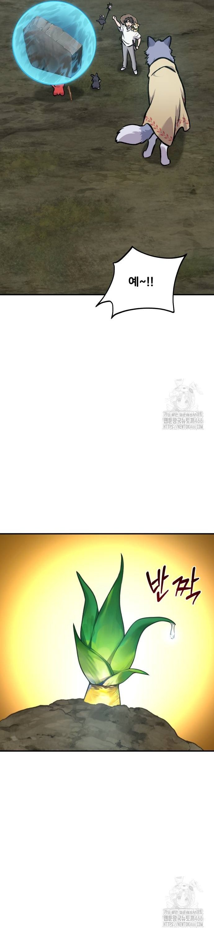 1735858872983kd08k1kbuom.jpg