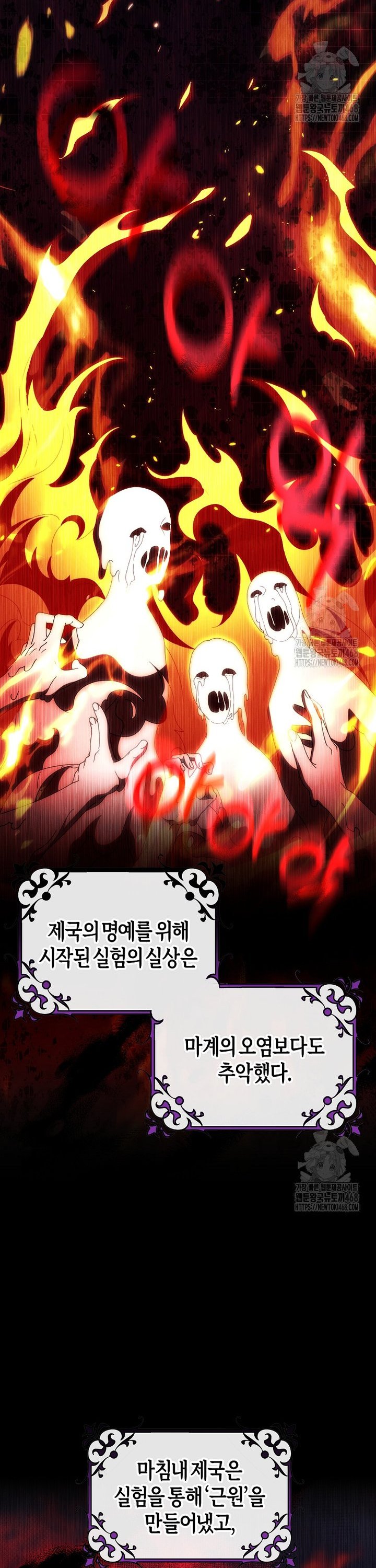 1740670176550nsdk5wntqzd.jpg