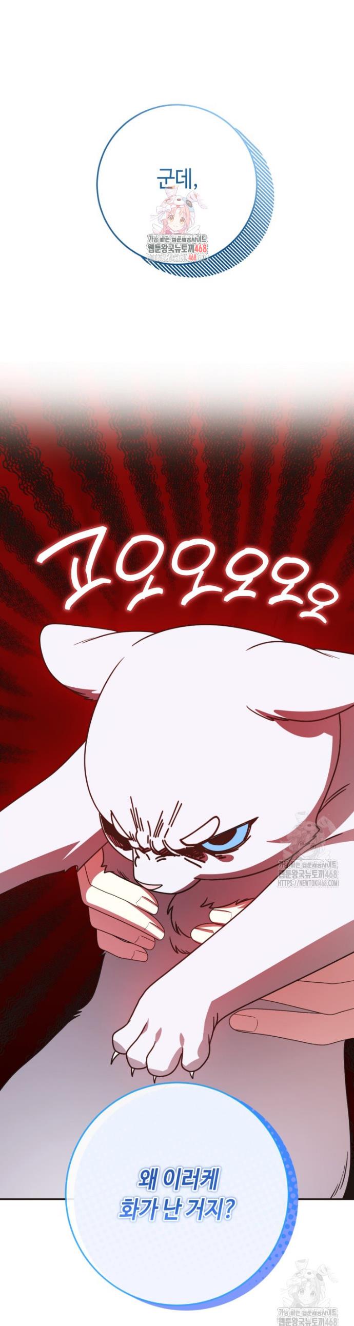 17387471396000o1qnkdry3x.jpg