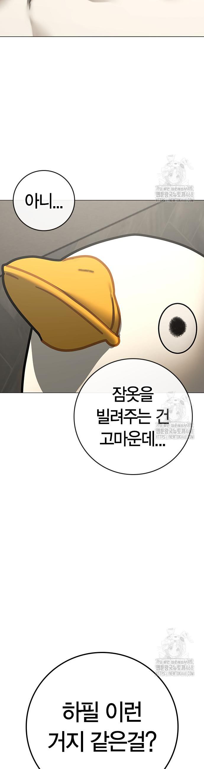 1743026350210wwhloblutm.jpg