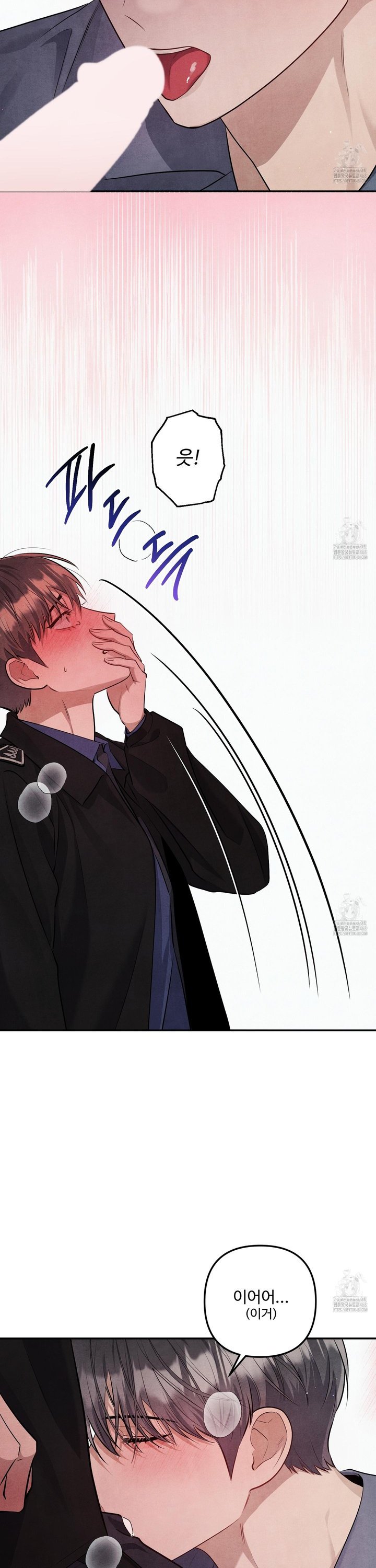 1744244939590z4kiy8onki.jpg