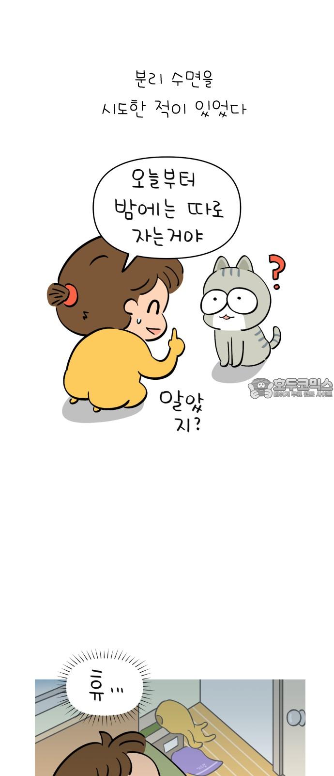 1745271859498ip3r533pyis.jpg