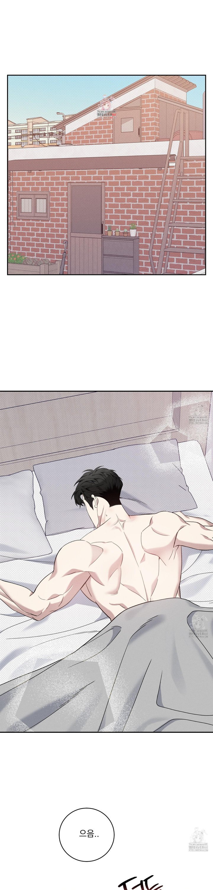 1744152956928ds34xmmd5bv.jpg