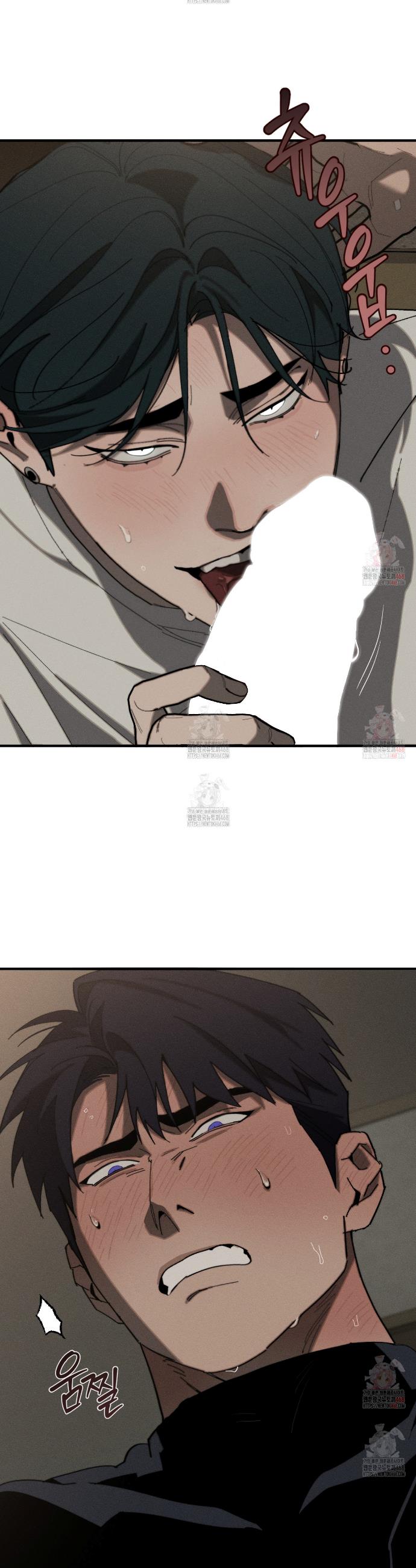 1747342698328rg1x00evqt.jpg