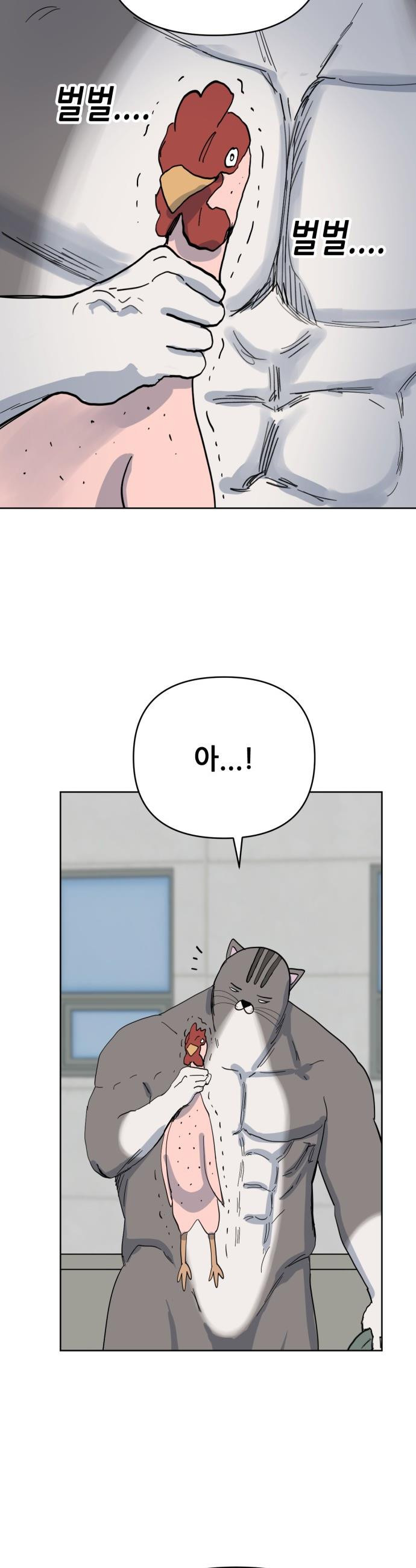 1747468872158qnfhippu8w8.jpeg