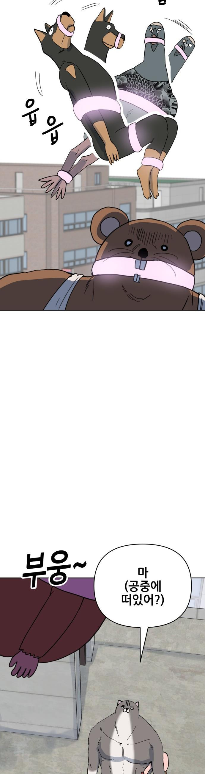 174746887412903t7vkjcz5j.jpeg